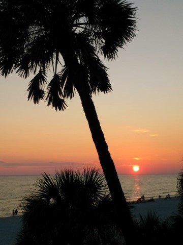 <span style='font-weight:bold;'>Panama City Beach</span><br />
    <span style='font-size:.8em;color:#9A4F03;'>  </span>