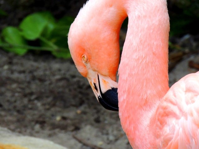 <span style='font-weight:bold;'></span><br />
    <span style='font-size:.8em;color:#9A4F03;'></span>