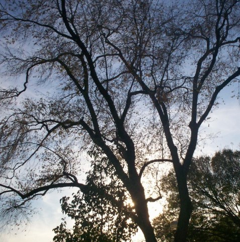 <span style='font-weight:bold;'></span><br />
    <span style='font-size:.8em;color:#9A4F03;'></span>